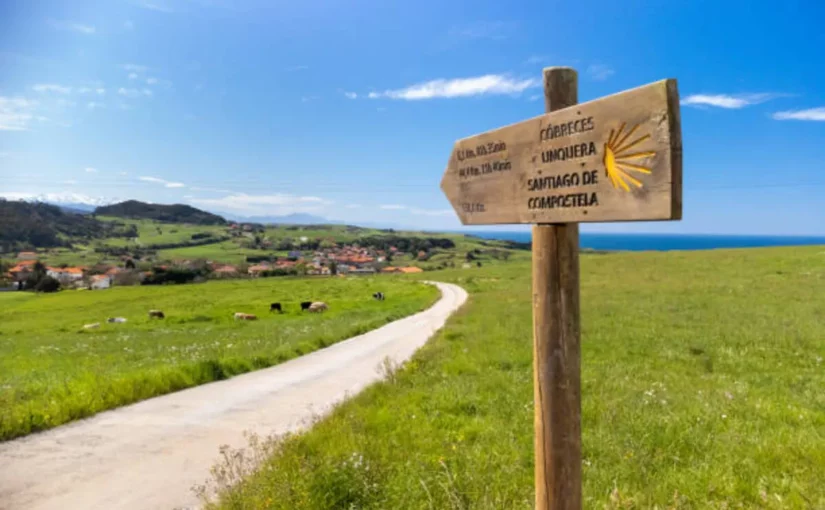 Sinalização de madeira do Caminho de Santiago com a concha de vieira, indicando a direção para Santiago de Compostela, em um caminho rural com campos verdes e ao fundo uma vila.