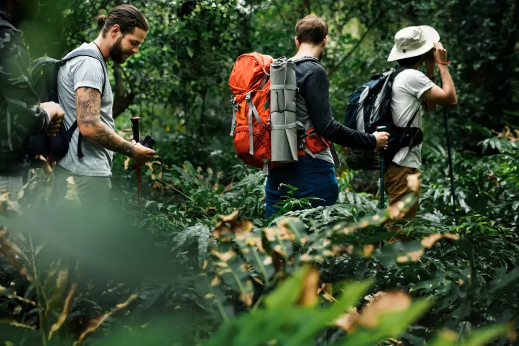 Um grupo de amigos fazendo trilha em uma floresta, com mochilas e bastões de caminhada.
