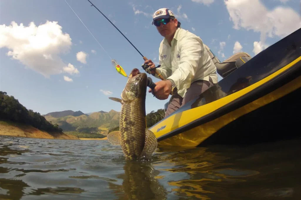 Pescador em barco com boné e óculos, erguendo um grande peixe fora da água com a vara de pesca, em um dia ensolarado.