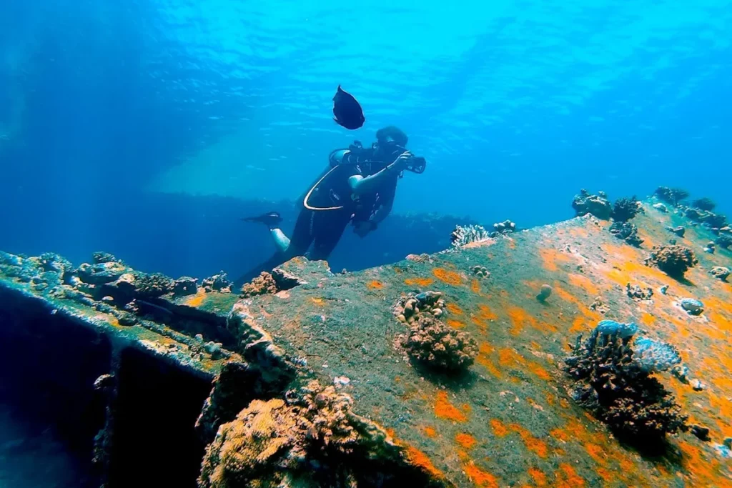 Mergulhador de scuba com uma câmera submerso na água. Ele está próximo a um naufrágio ou estrutura coberta de coral. Um peixe preto está nadando perto do mergulhador.
